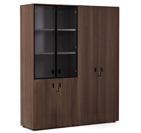 EXE Шкаф комбинированный + для бумаг (Эвкалипт морен/Черный)
